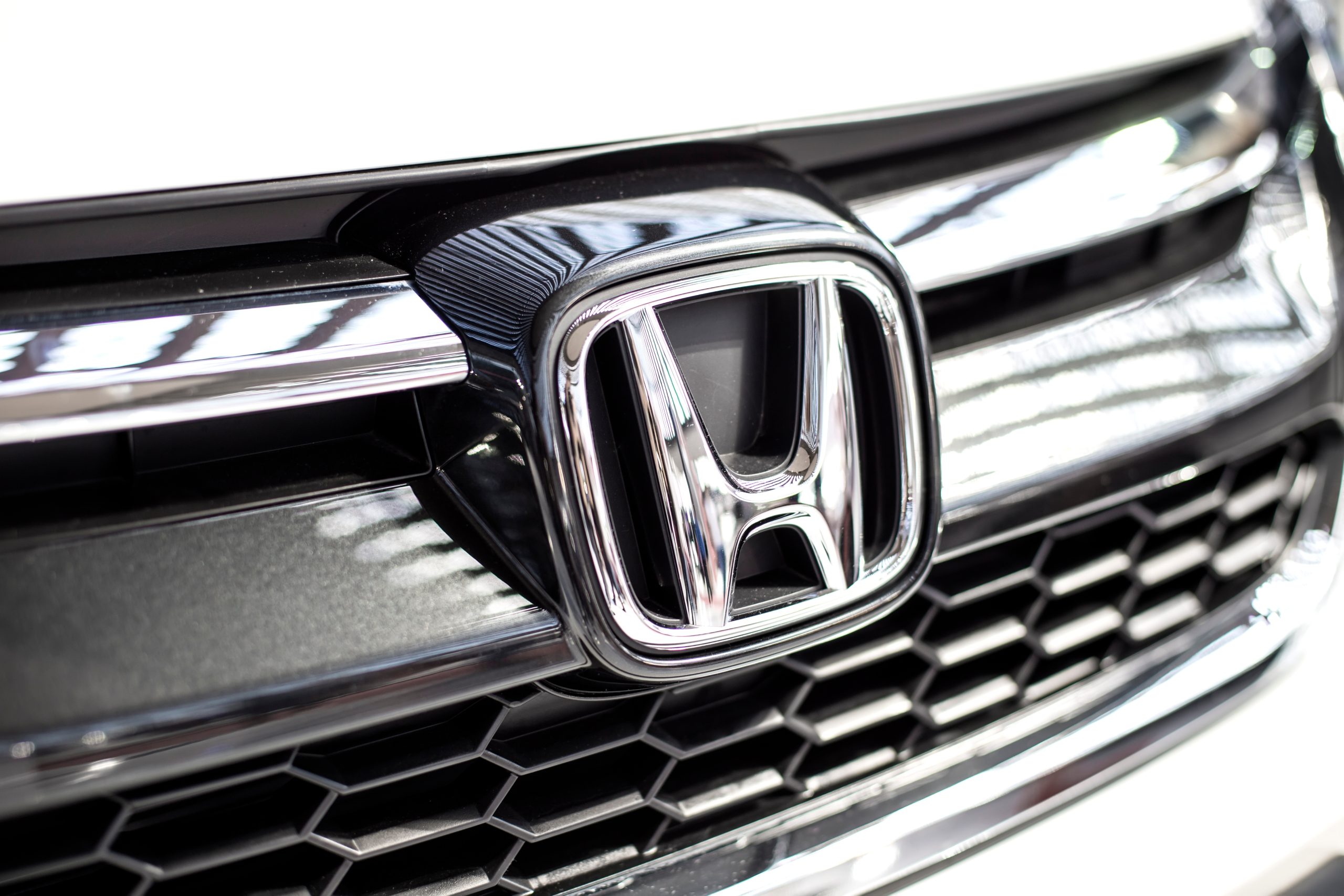 Honda faces a class action because of rodent damage.